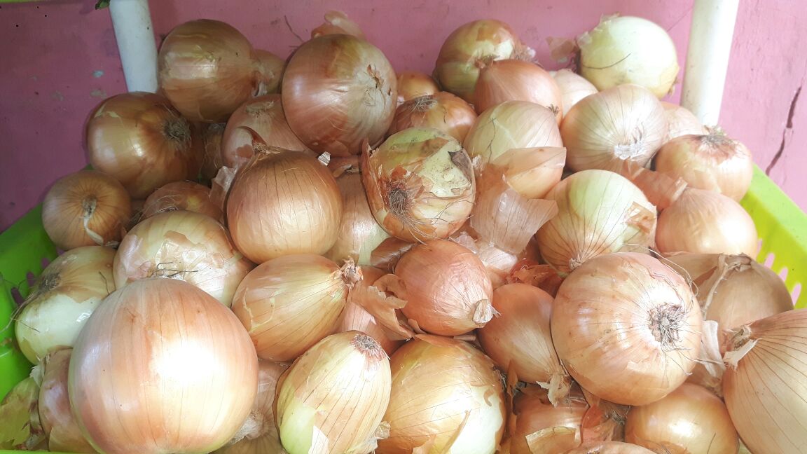 verduras